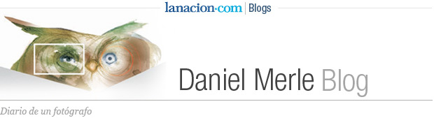 Daniel Merle Blog