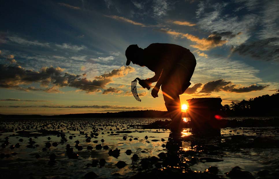 APTOPIX_Digging_at_Dawn_MERB101