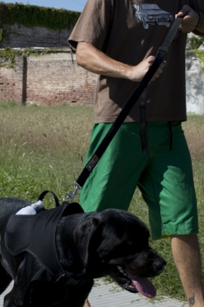 Indio correa achique