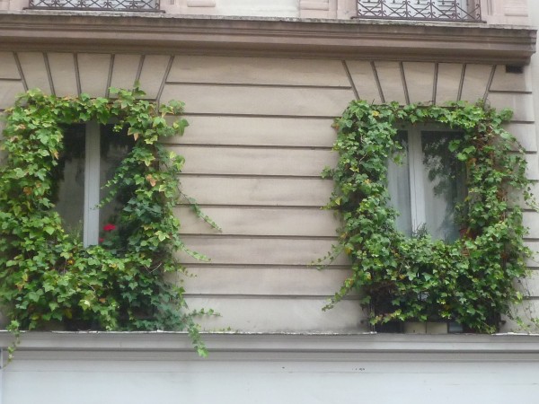 Ventanas arboladas